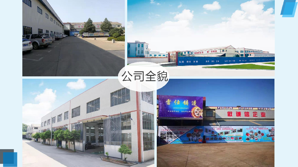  Jiahe County Leishi Machinery Casting Industry Co., Ltd